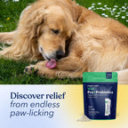 Honest Paws Probióticos para perros - Apoyo digestivo e inmunitario con prebiótico, 30 sticks