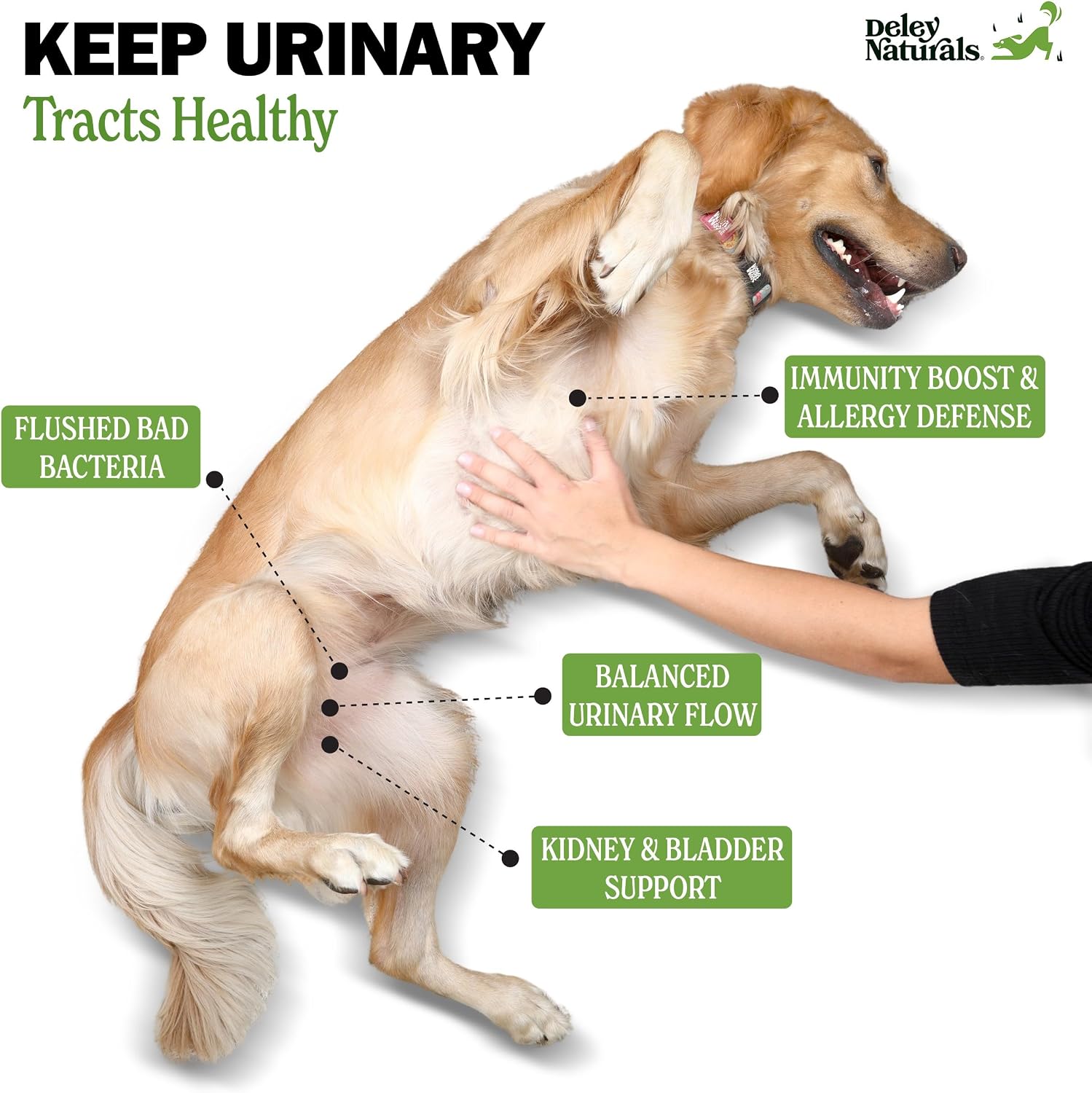 Deley Naturals Complemento Urinario para Perros - Snacks de Cranberry - Apoyo a la Vejiga y Salud Renal - 120 Snacks Sabor Pollo