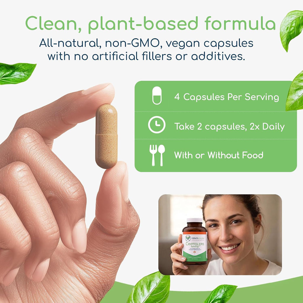 Return Healthy Cryptolepis Synergy – Complemento de apoyo inmunológico, 120 cápsulas
