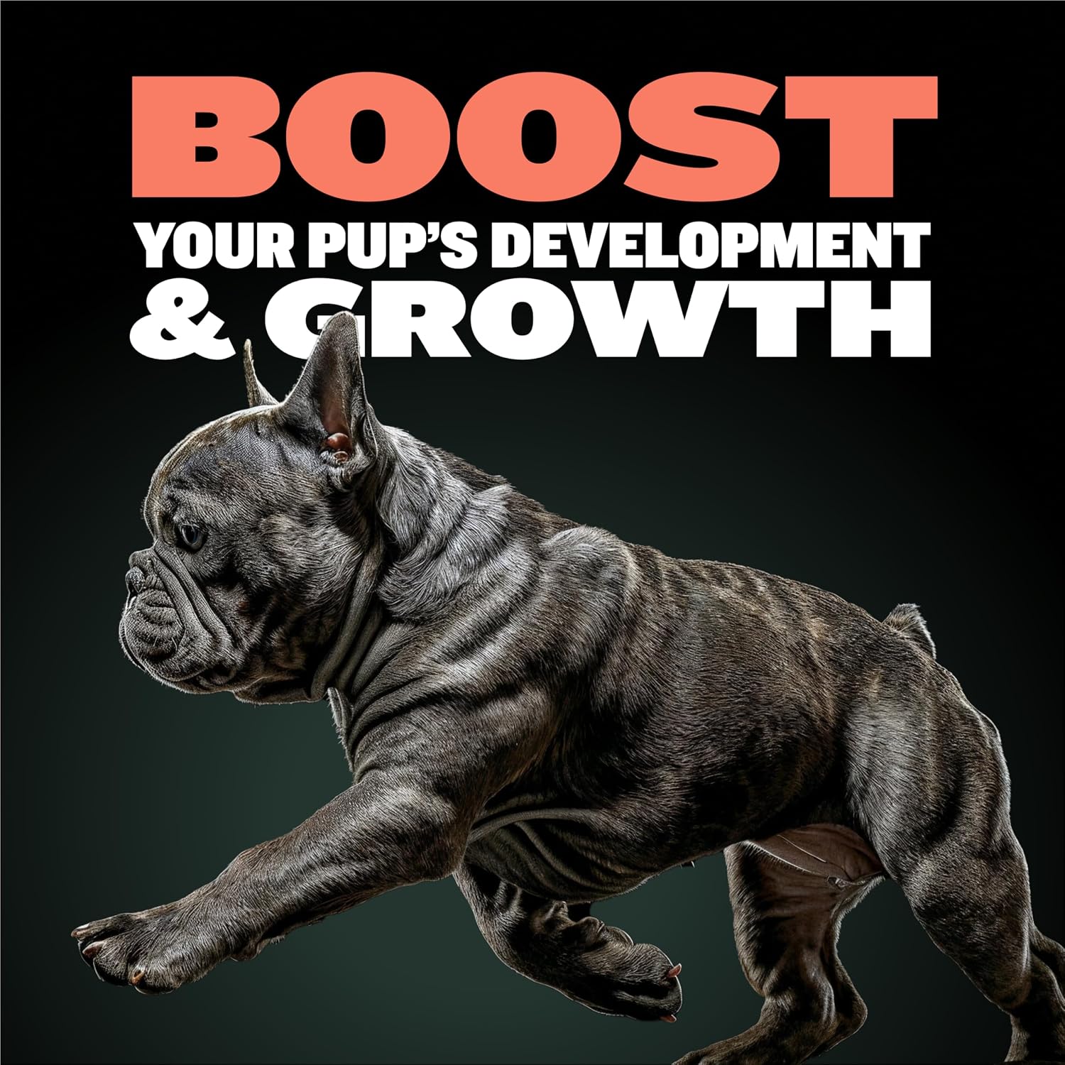 Bully Max 2 en 1 Vitaminas para Cachorros - 30 Comprimidos Masticables