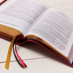Santa Biblia KJV: Letra Grande de Una Columna con 43,000 Referencias Cruzadas al Final del Versículo, Piel de Cabra Roja, Colección Premier, Tamaño Personal, Letra Roja: Versión King James