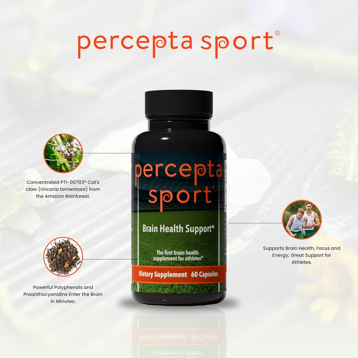 Percepta Sport - Suplemento Cerebral Natural para Deportistas - 30 Días – Image 8