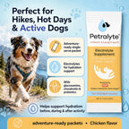 Petralyte Electrolitos y Suplemento Articular para Perros - 32 Paquetes Sabor Pollo