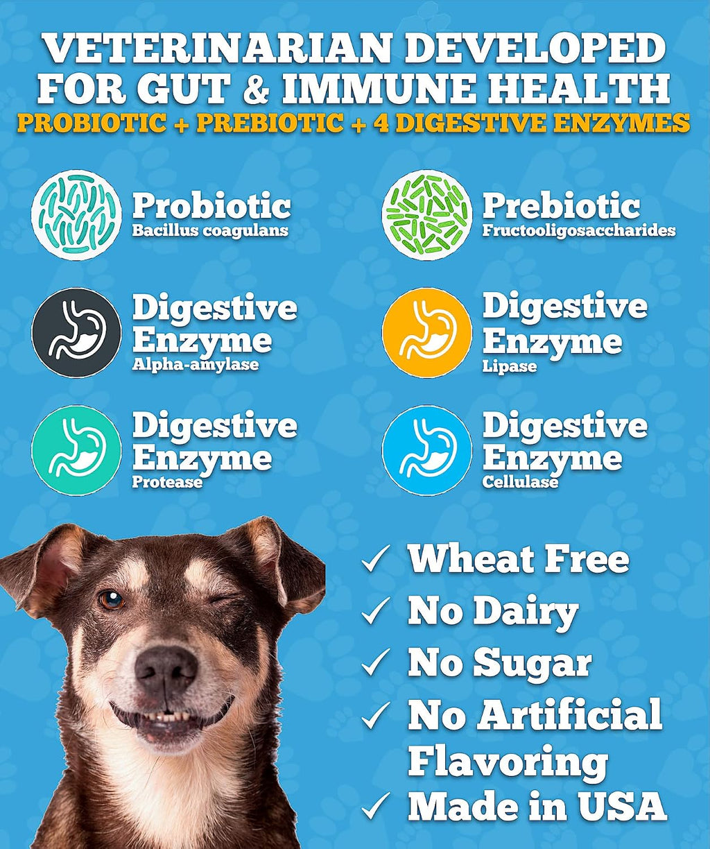 Well Loved Probióticos para Perros – Masticables Suaves con Prebióticos y Enzimas Digestivas