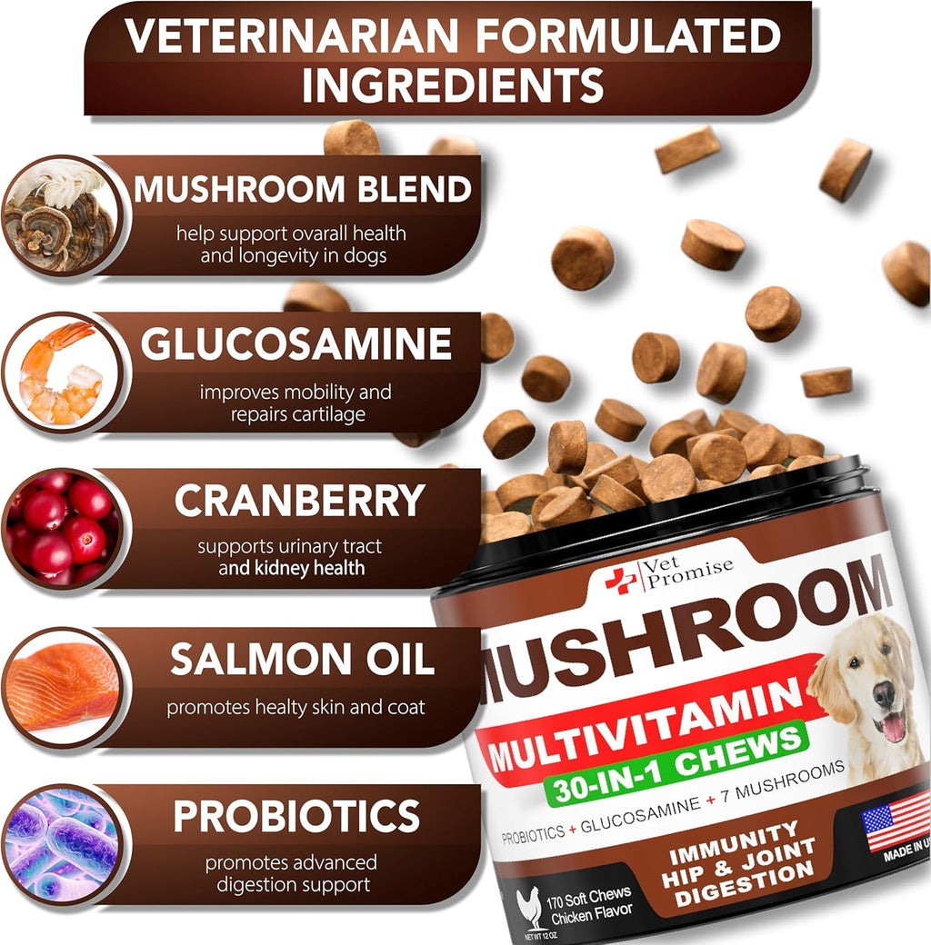 Vet Promise Suplemento de Hongos para Perros - 170 Masticables - Turkey Tail, Lion's Mane, Reishi