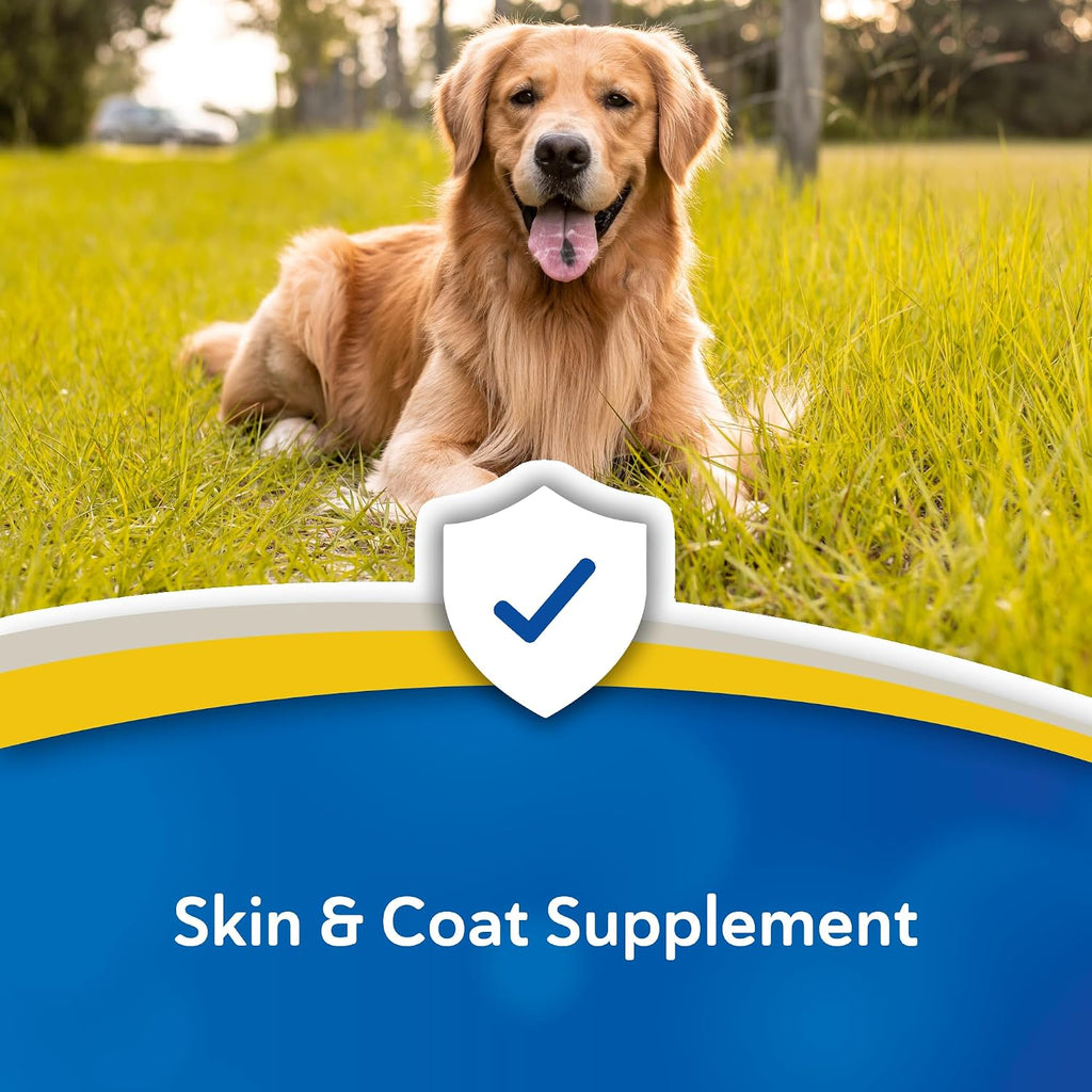 Suplemento Doc Roy's Derma Coat Plus para perros, apoya la piel, el pelaje y las uñas saludables, con ácidos grasos Omega 3-6-9, biotina y antioxidantes, 60 unidades para perros medianos y grandes