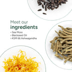 ROOT LABS Sea Moss Gummies con 92+ Minerales, Aceite de Semilla Negra y Ashwagandha KSM 66 | 1600 mg | 120 Gomitas