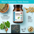 Cápsulas de Guduchi del DR WAKDE (Tinospora cordifolia, 60 cápsulas vegetales, suplemento a base de plantas, hierba ayurvédica, totalmente natural, vegano)