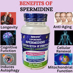 Nikoni Liposomal Spermidina, Quercetina, Fisetina 860mg - Apoyo al Envejecimiento Saludable, Renovación Celular, Función Cognitiva - 60 Cápsulas Blandas