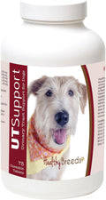 Healthy Breeds Cranberry Chewables para Perros - Apoyo Urinario - 75 Comprimidos
