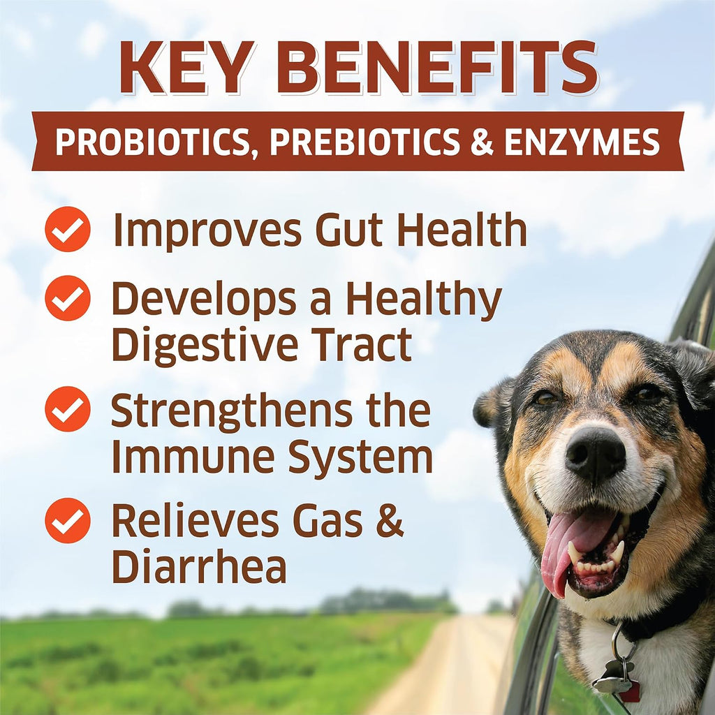 Fur Belly Probióticos para Perros con Prebióticos - 120 Masticables