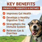 Fur Belly Probióticos para Perros con Prebióticos - 120 Masticables