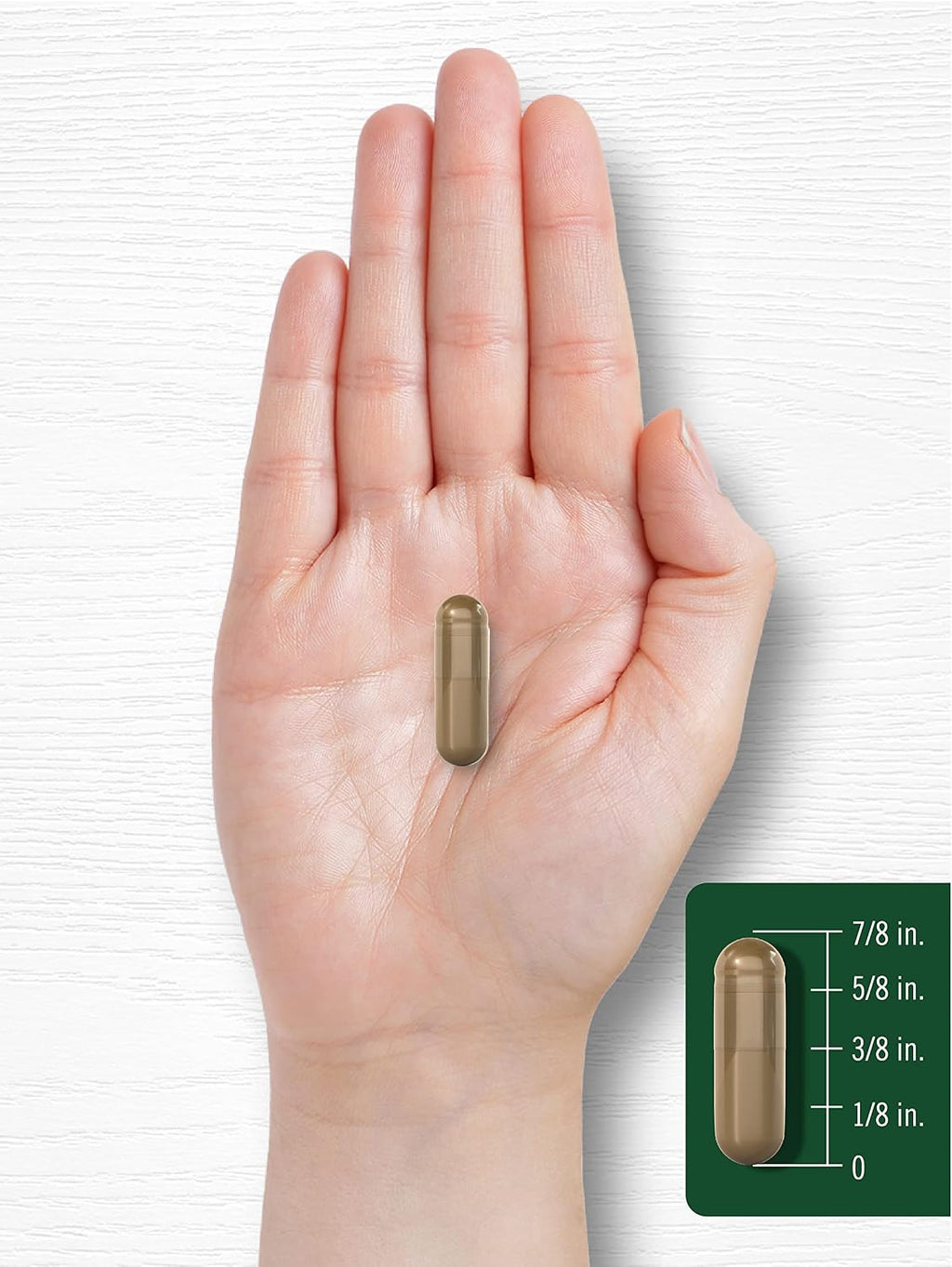 Carlyle Semilla de Hinojo 480mg – 200 Cápsulas – Suplemento Herbal No-GMO