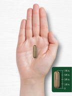 Carlyle Semilla de Hinojo 480mg – 200 Cápsulas – Suplemento Herbal No-GMO