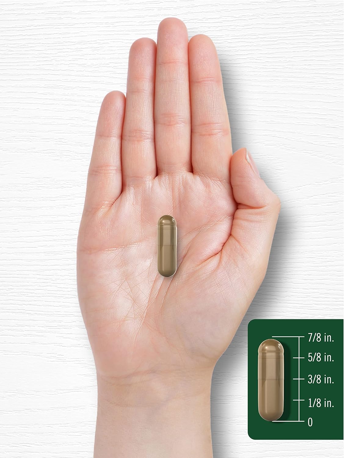 Carlyle Semilla de Hinojo 480mg – 200 Cápsulas – Suplemento Herbal No-GMO
