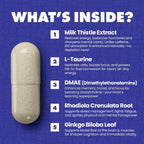 Gains in Bulk Elevated Nootropic Herbal Energy Suplemento Energético y de Enfoque, 60 Cápsulas
