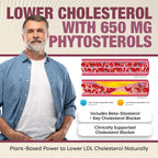 Advanced Cholesterol Health Complex con Esteroles Vegetales - 120 Cápsulas