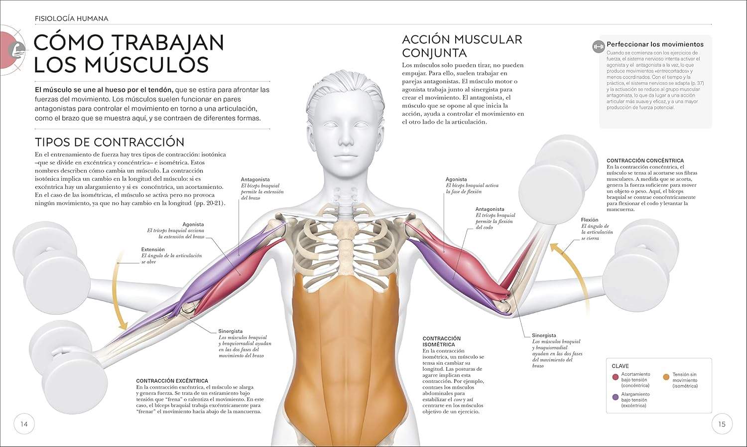 Entrenamiento de fuerza (Science of Strength Training): Mejora tu técnica, evita lesiones, perfecciona tu entrenamiento