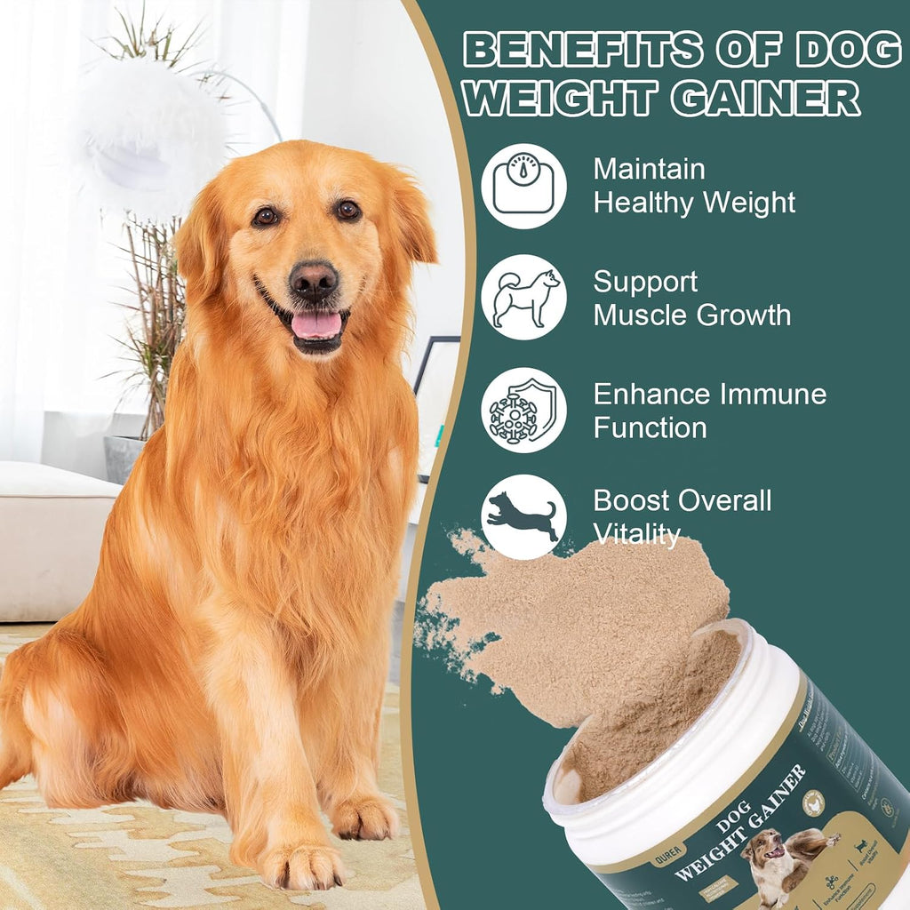 Ourea Ganador de Peso para Perros Senior, Suplemento Alto en Calorías con Multivitaminas, Sabor a Hígado de Pollo, 114g (4oz)