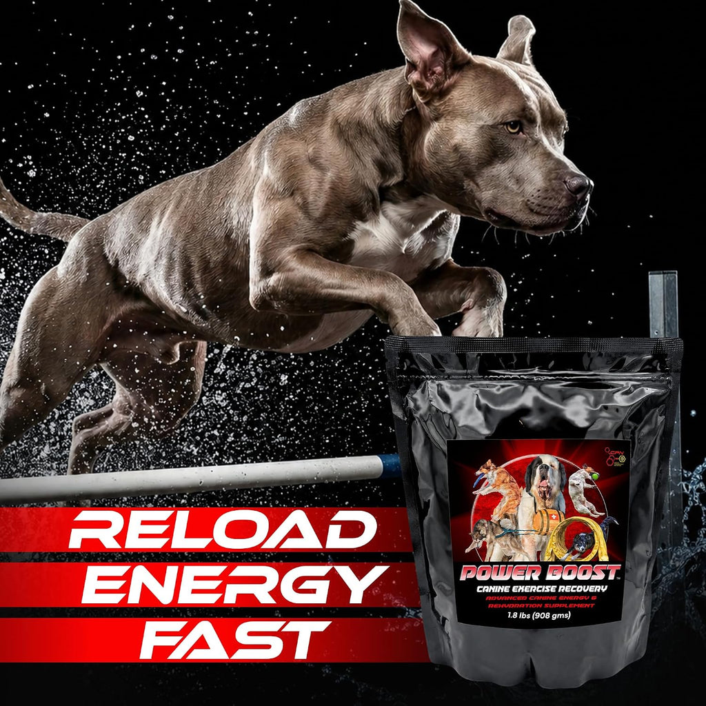 Power Boost Canine Performance Formula – Suplemento de Rehidratación y Recuperación para Perros de Trabajo y Deporte, Bajo en Grasa, Alto en Carbohidratos, 1.8 lbs