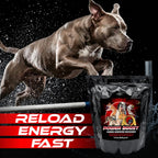 Power Boost Canine Performance Formula – Suplemento de Rehidratación y Recuperación para Perros de Trabajo y Deporte, Bajo en Grasa, Alto en Carbohidratos, 1.8 lbs