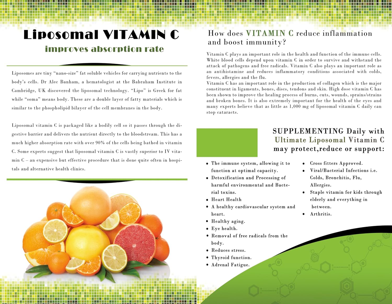 Board Room Organics Vitamina C Liposomal 3000 mg por porción – 473 ml (16 oz)