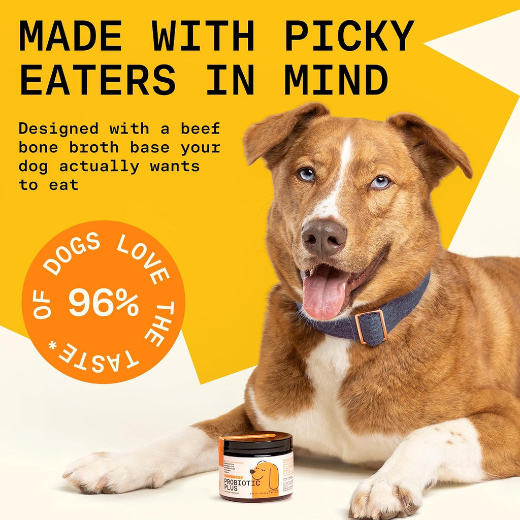 5-in-1 Probiótico en Polvo para Perros – Apoyo Digestivo Natural con Prebióticos, Postbióticos y Enzimas – Fabricado en EE.UU. – 30 Dosis