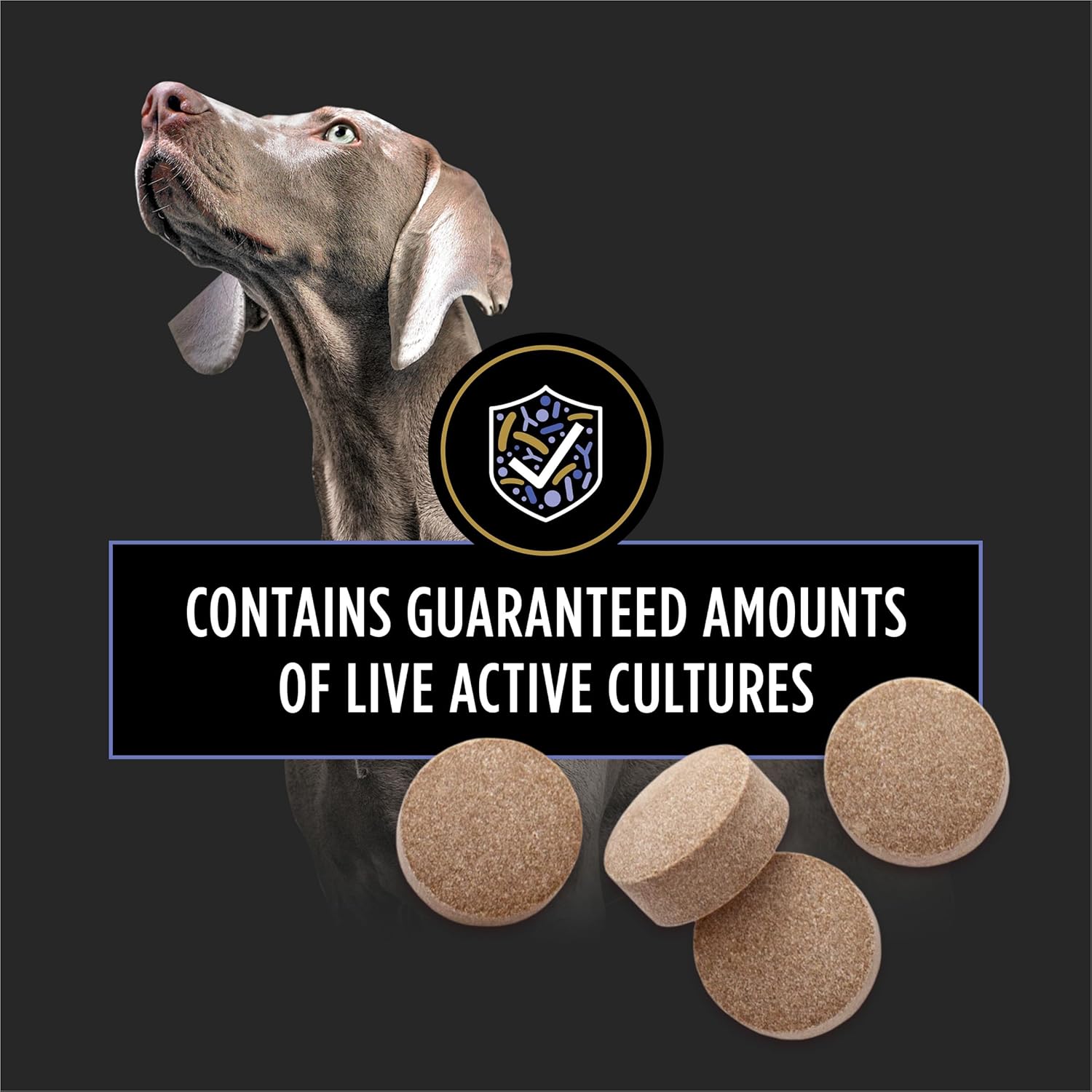 Purina Pro Plan Veterinary Supplements FortiFlora Probióticos para Perros - 90 Comprimidos Masticables