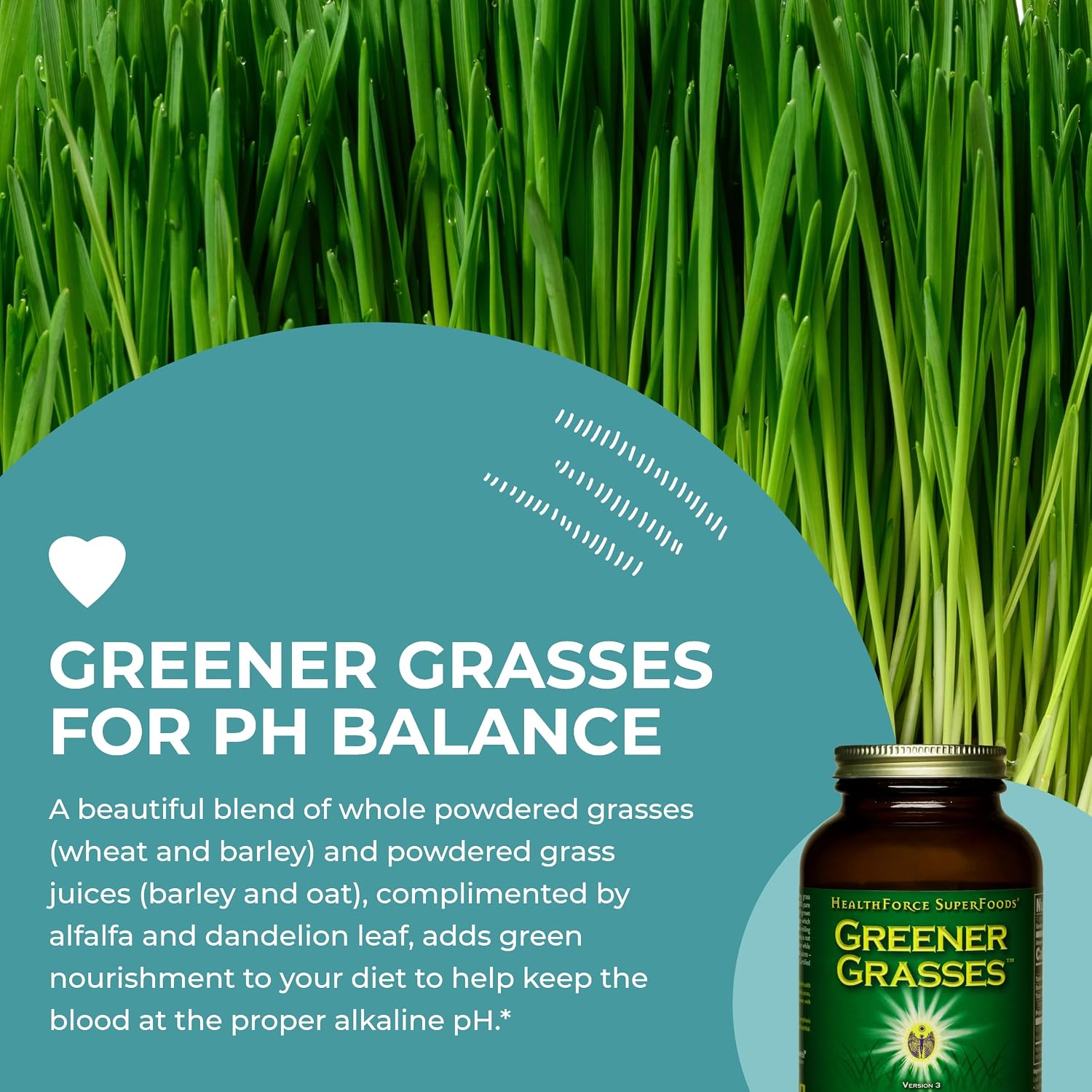 HealthForce SuperFoods Greener Grasses Alkalizer Powder - Polvo de Superalimento Verde Orgánico (284 g)