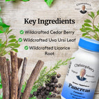 Dr. Christopher's Formulas Pancreas Formula - 100 Cápsulas Vegetales