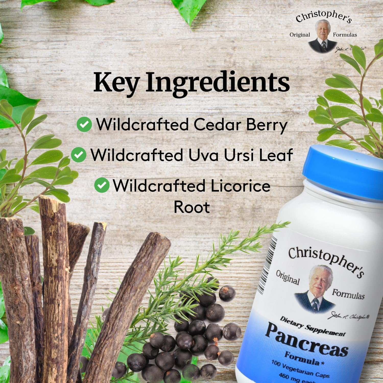 Dr. Christopher's Formulas Pancreas Formula - 100 Cápsulas Vegetales