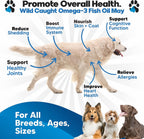 Plano Paws Aceite de Pescado Omega 3 para Perros - Suplemento Líquido de EPA y DHA