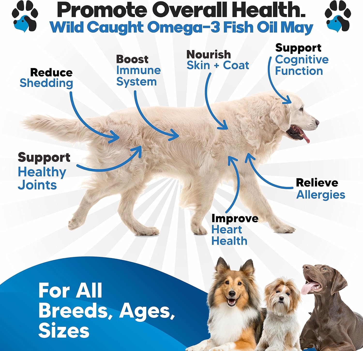 Plano Paws Aceite de Pescado Omega 3 para Perros - Suplemento Líquido de EPA y DHA