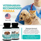 AminAvast Suplemento de Apoyo Renal para Gatos y Perros Pequeños, 300mg (Pack de 3) - 60 Cápsulas Espolvoreables