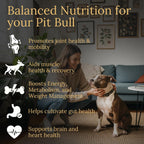 Multivitamínicos, Nutrición Equilibrada para tu Pit Bull, 90 Unidades, Hechos en EE. UU. con Tocino Real