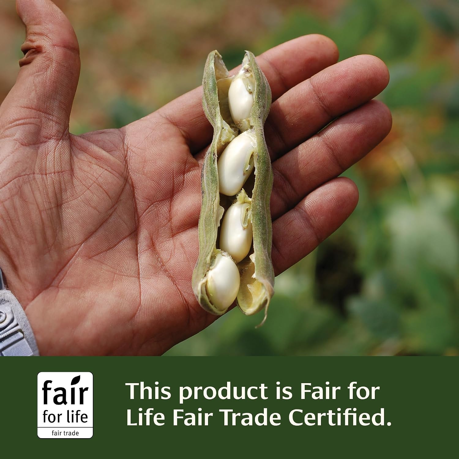Banyan Botanicals Mucuna Pruriens Orgánica – 90 Comprimidos