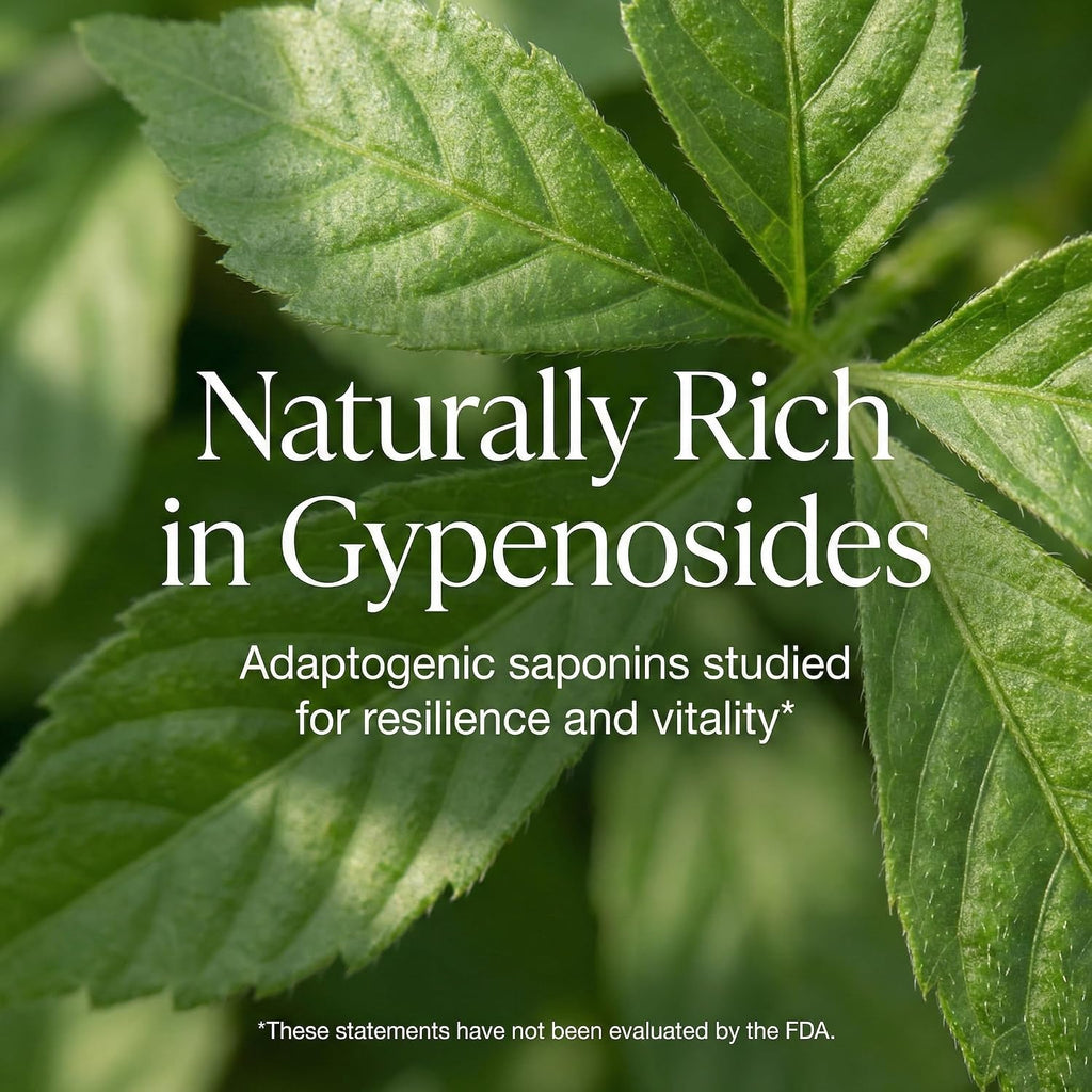Addictive Wellness Gynostemma Leaf Extract Powder - Extracto Puro de Jiaogulan, Adaptógeno para Energía, 1 Sobre