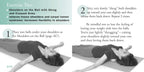 Método Miracle Ball: Alivia tu dolor, remodela tu cuerpo, reduce tu estrés [Incluye 2 pelotas milagrosas]
