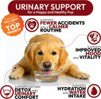 Chicles de Arándano y D-Manosa para Perros - Apoyo Urinario y Multivitamínico (170 unidades)