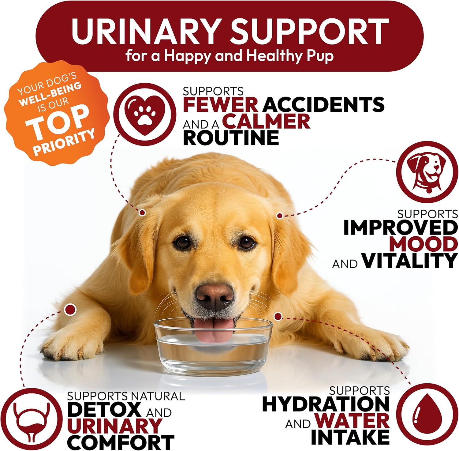 Chicles de Arándano y D-Manosa para Perros - Apoyo Urinario y Multivitamínico (170 unidades)