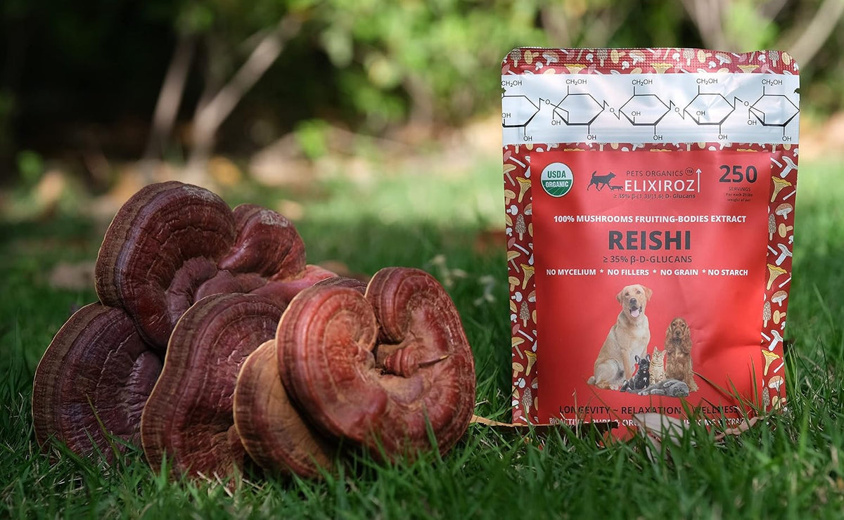 Extracto de Reishi para Perros y Gatos – – Vitalidad diaria: Al favorecer el equilibrio interno, este hongo puede – Image 3