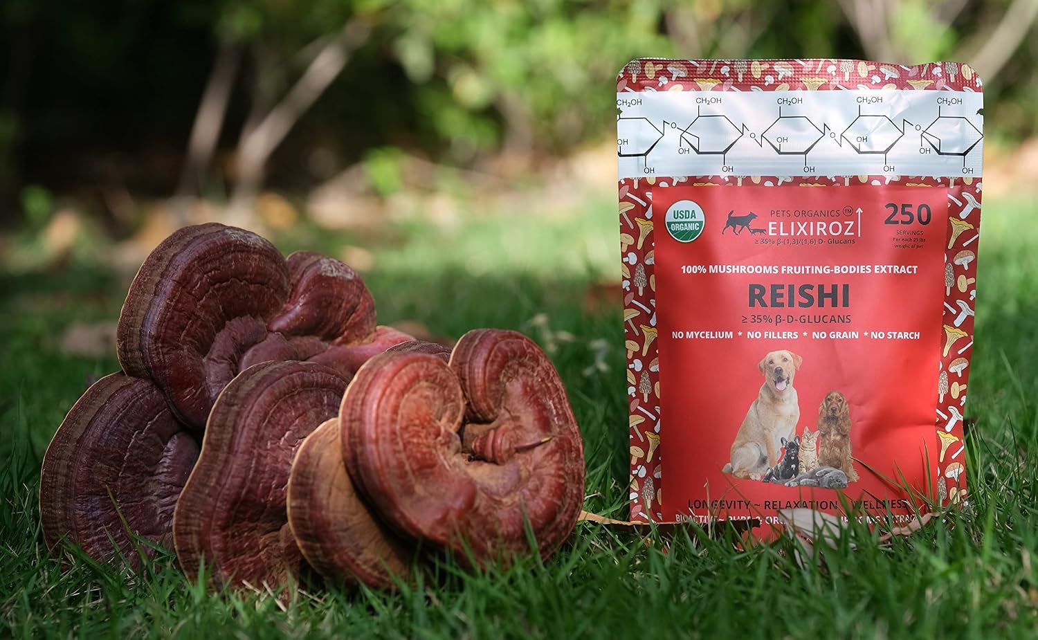 Extracto de Reishi para Perros y Gatos – 35%+ Beta Glucanos – Cuerpo Fructífero (Concentrado 8:1-12:1) – Apoyo Inmunitario, Calma y Relajación – Sin Rellenos – 250 dosis