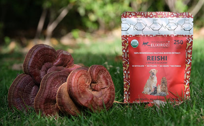 Extracto de Reishi para Perros y Gatos – – Vitalidad diaria: Al favorecer el equilibrio interno, este hongo puede – Image 3
