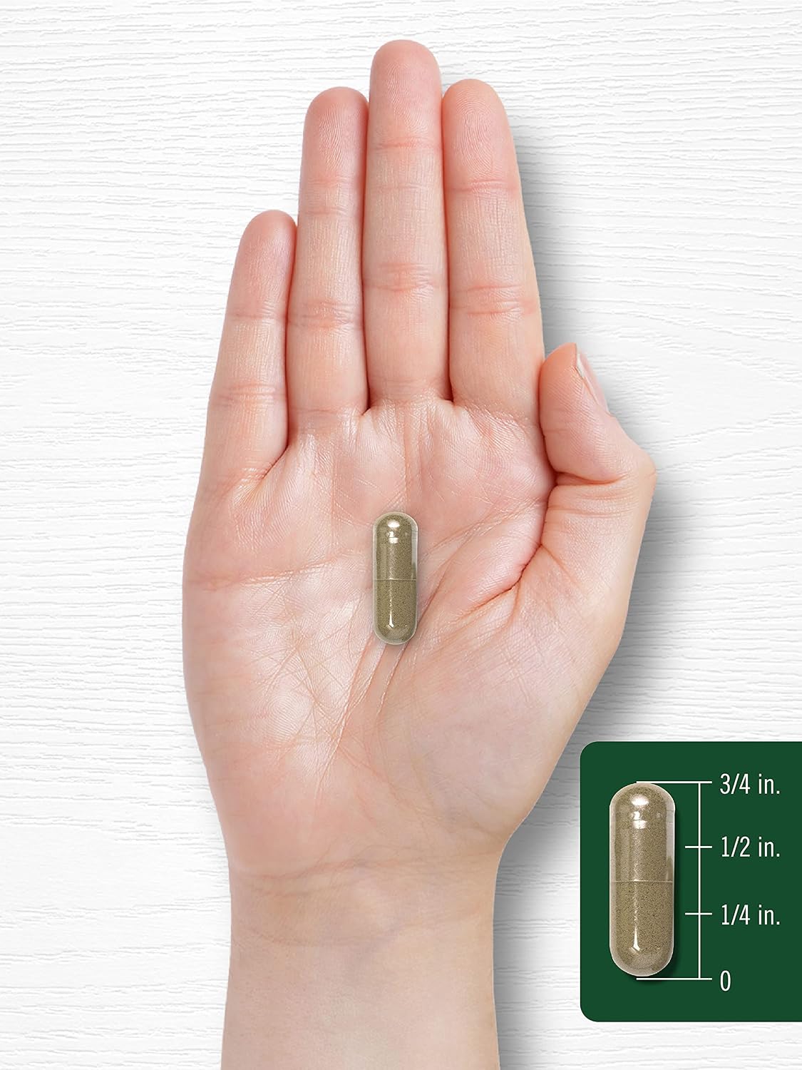Carlyle Chanca Piedra Cápsulas | 500 mg | 200 Unidades | Hierba Tradicional | Sin Gluten y No-GMO