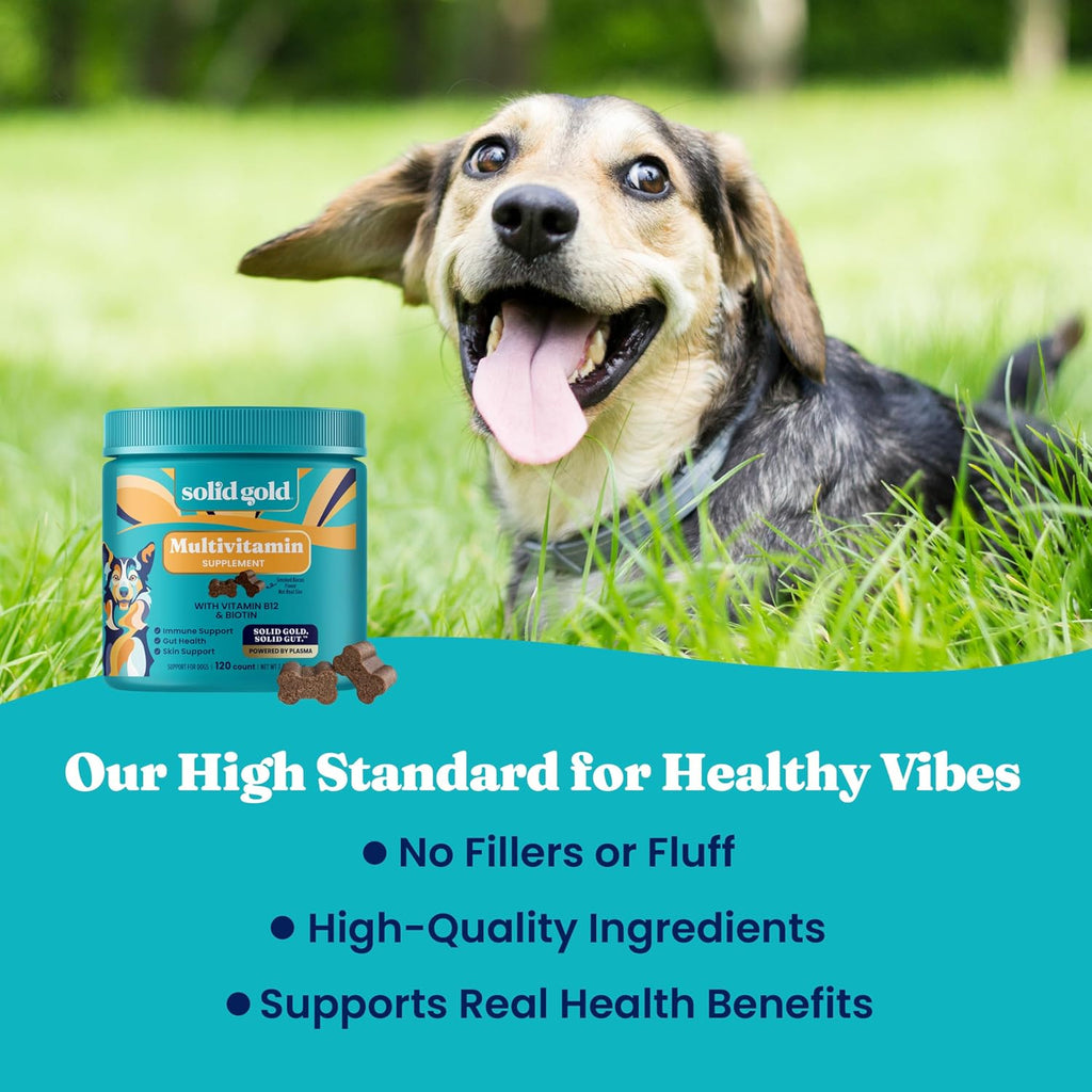 Solid Gold Multivitamínico para Perros - Gomitas Blandas - Apoyo Completo para Corazón, Sistema Inmunitario, Cerebro, Piel, Pelaje y Salud Digestiva con Vitamina C, B12, Probióticos y Antioxidantes - Sabor a Bacon 120 unidades