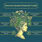 The Holistic Guide to Wellness: Herbal Protocols for Common Ailments