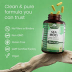 Sea Moss, Aceite de Semilla Negra, Bladderwrack, Cúrcuma, Ashwagandha, Bardana, Vitamina C, D3, Raíz de Yellow Dock, Manuka, Diente de León - 90 Cápsulas Veganas