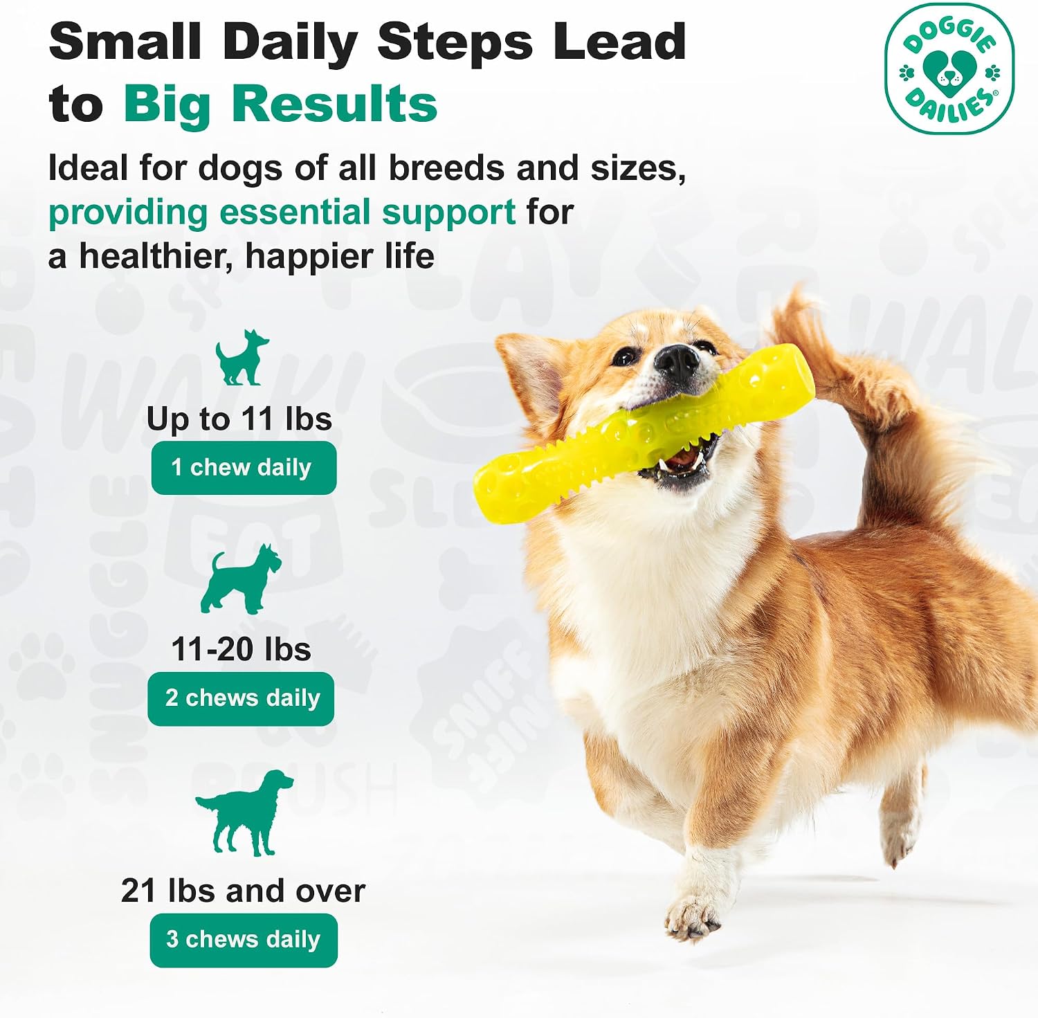 Doggie Dailies Probiótico para Cachorros, Probióticos con Enzimas Digestivas, Apoya la Salud Digestiva e Inmunológica, Sabor Calabaza, 120 Masticables Blandos