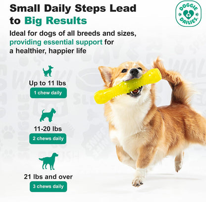 Doggie Dailies Probiótico para Cachorros, Probióticos con Enzimas Digestivas, Apoya la Salud Digestiva e Inmunológica, Sabor – Image 8