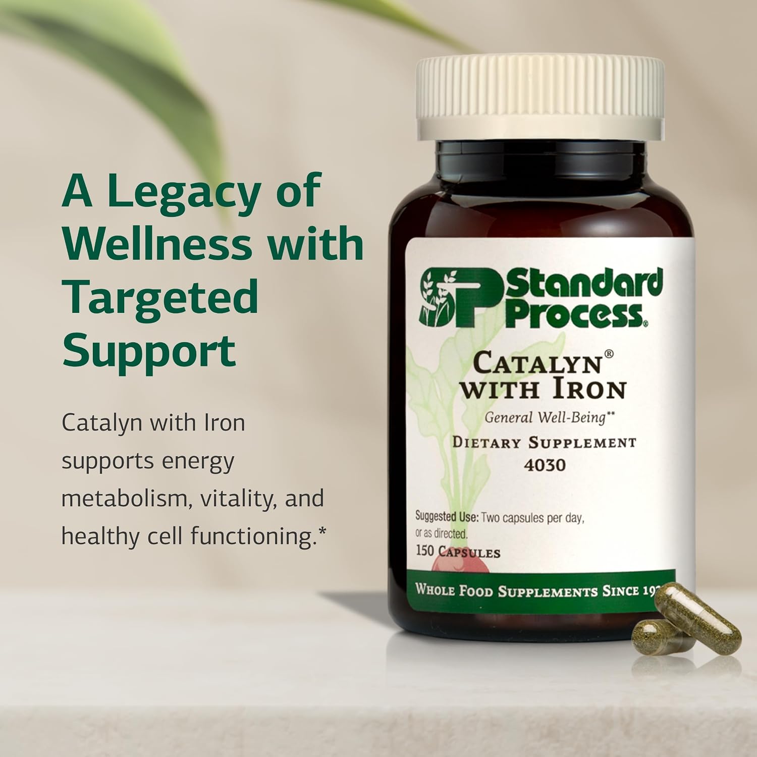 Standard Process Catalyn con Hierro - Apoyo al Metabolismo Energético - 150 Cápsulas